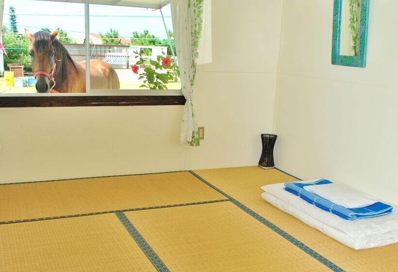 Iriomotejima Monsoon   Hostel