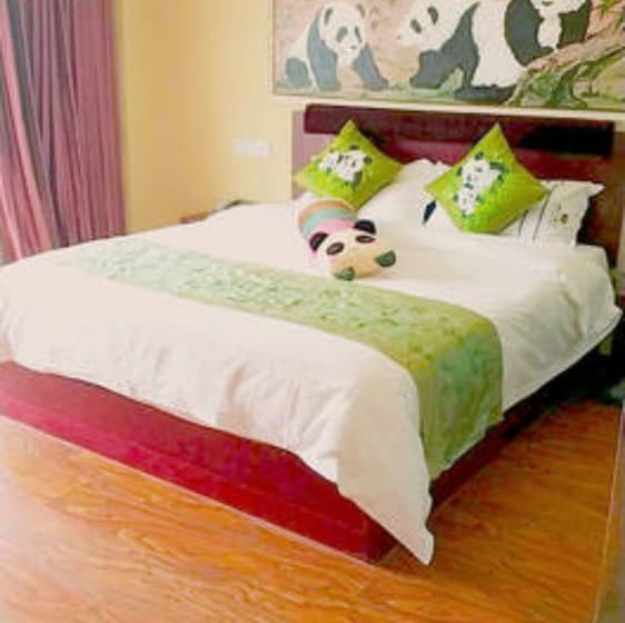 Panda Cub Hotel China West Normal University Branch
