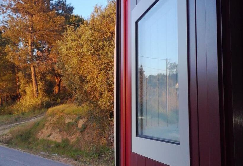 بنسيون Avó Rosa Guesthouse