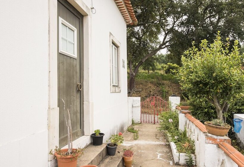 بنسيون Avó Rosa Guesthouse