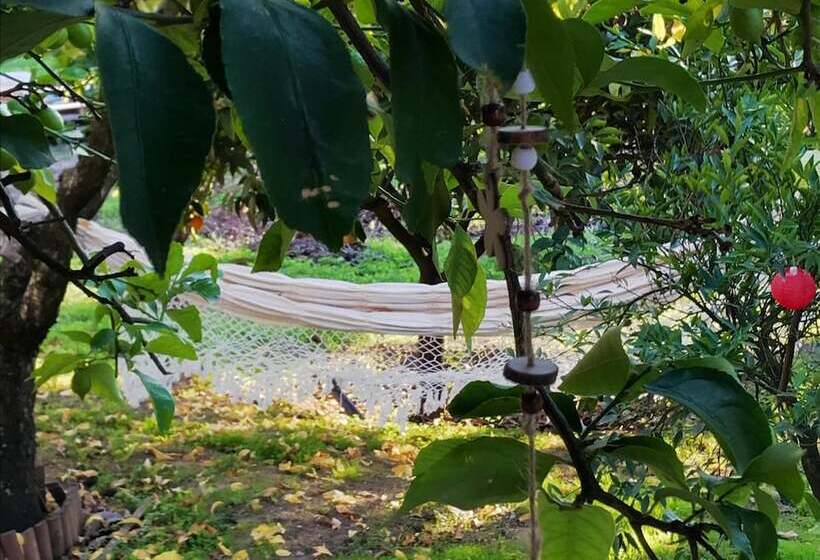 بنسيون Avó Rosa Guesthouse