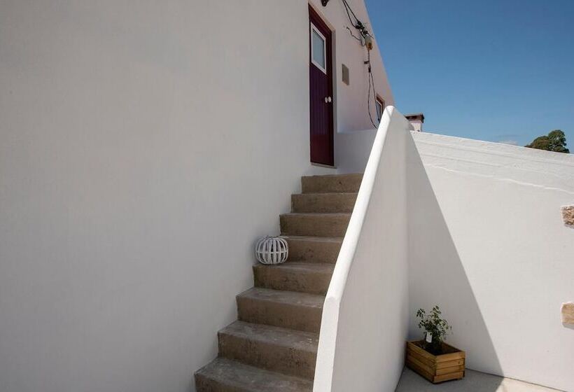 بنسيون Avó Rosa Guesthouse