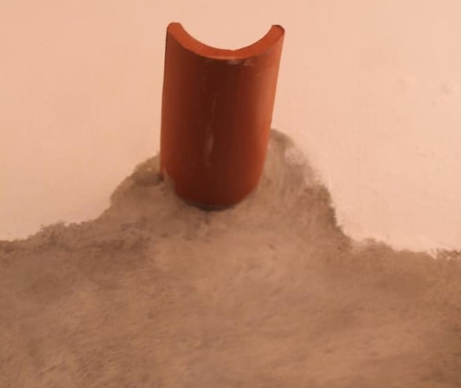 بنسيون Avó Rosa Guesthouse