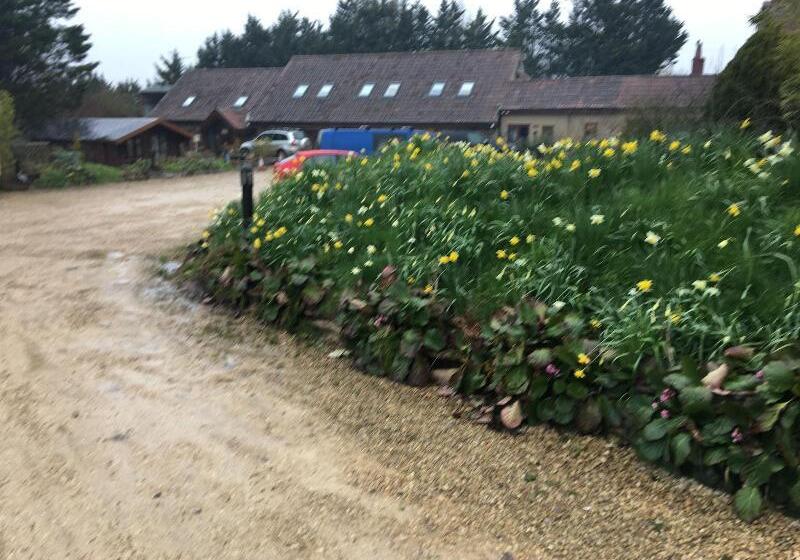 بنسيون Bridge Farm Guesthouse Rooms