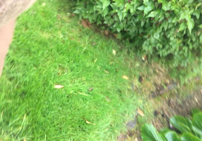 بنسيون Bridge Farm Guesthouse Rooms