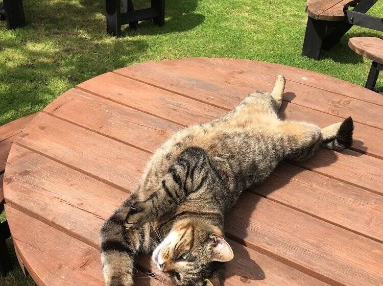 بنسيون Bridge Farm Guesthouse Rooms