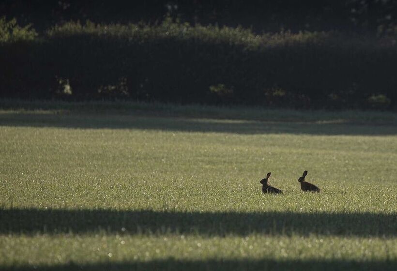 بنسيون Carrick's At Castle Farm