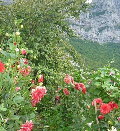 بنسيون Guesthouse Iro