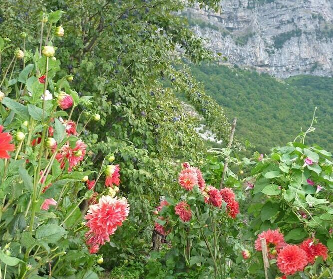 بنسيون Guesthouse Iro