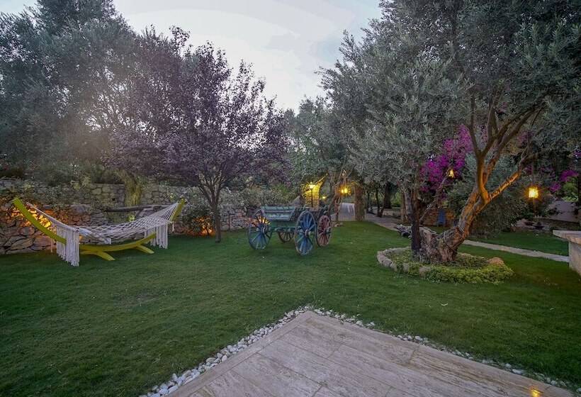 פנסיון Olive Farm Of Datca