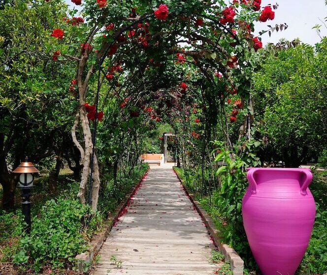 פנסיון Olive Farm Of Datca