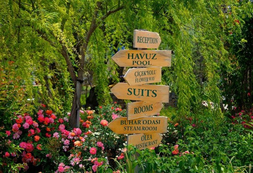 פנסיון Olive Farm Of Datca