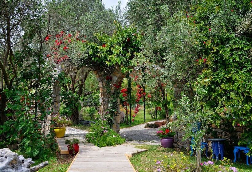 פנסיון Olive Farm Of Datca