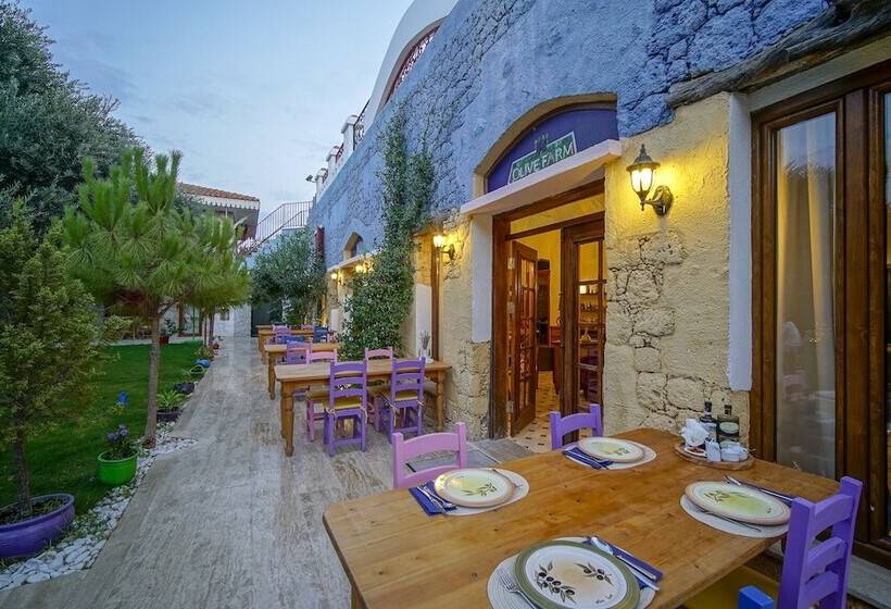 פנסיון Olive Farm Of Datca