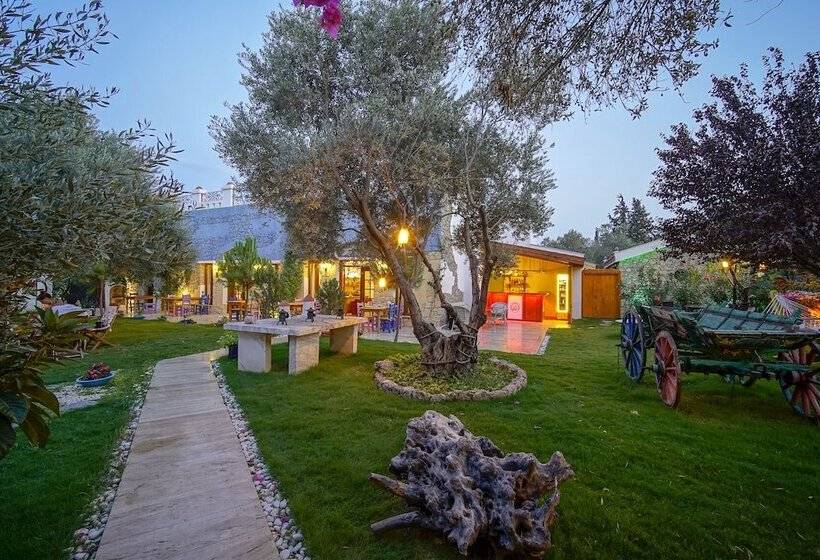 פנסיון Olive Farm Of Datca