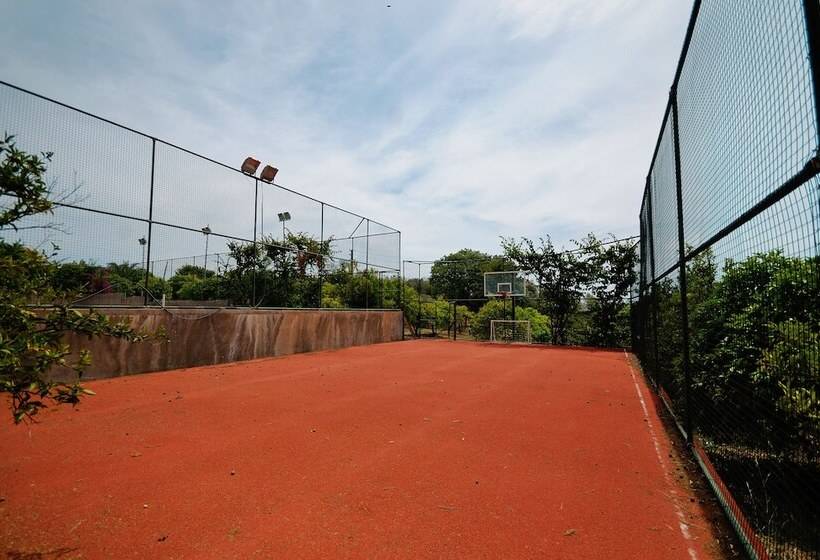 פנסיון Olive Farm Of Datca