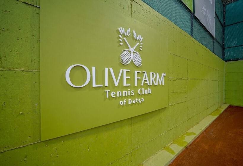 פנסיון Olive Farm Of Datca