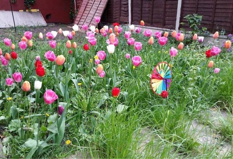 ペンション Regent Guest House