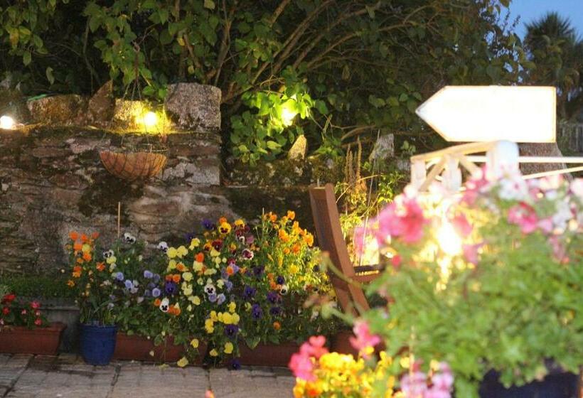 Пансион Silver Birch Guest House