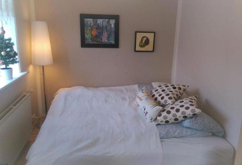 پانسیون Ig Höfn