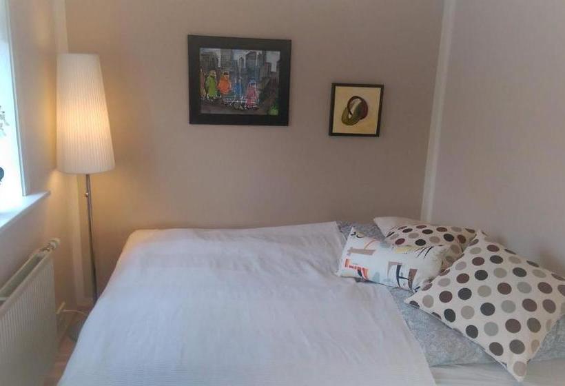 پانسیون Ig Höfn