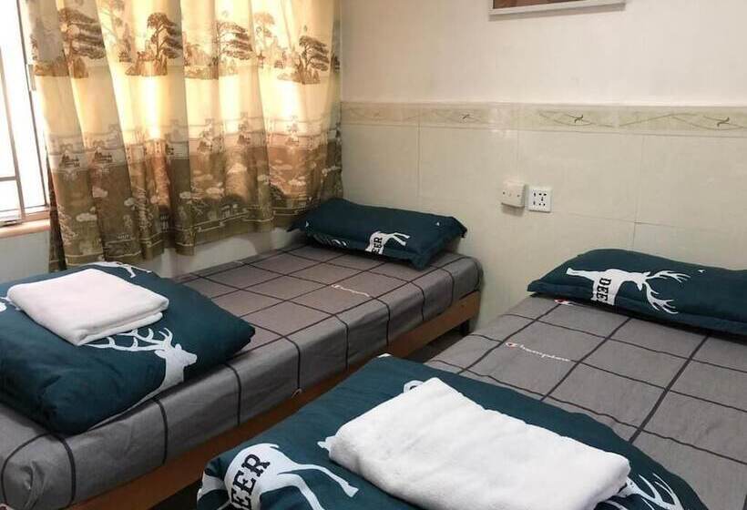 پانسیون South & North House