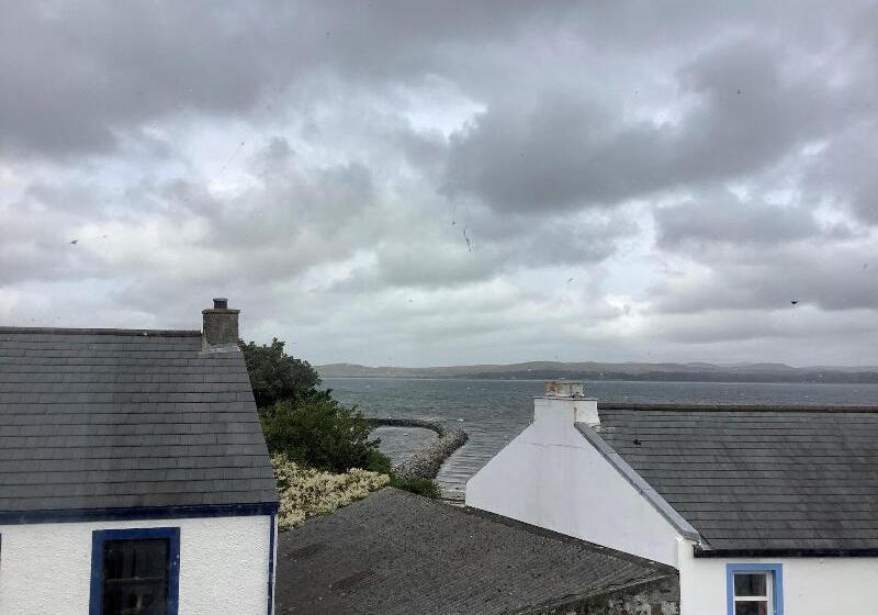 The Island Bear B&b