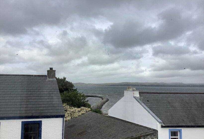The Island Bear B&b