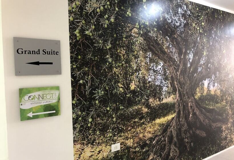 هاستل Grand Suites Bethlehem