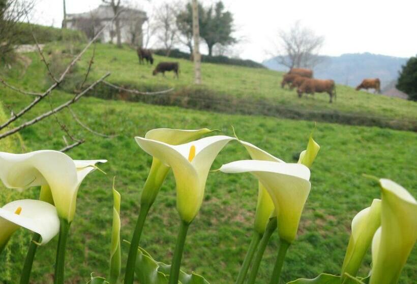Apartamentos Rurales Casa El Caminero