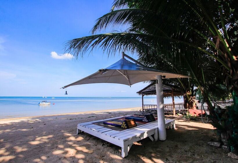 Bandon Beach Bar & Hostel   Adults Only