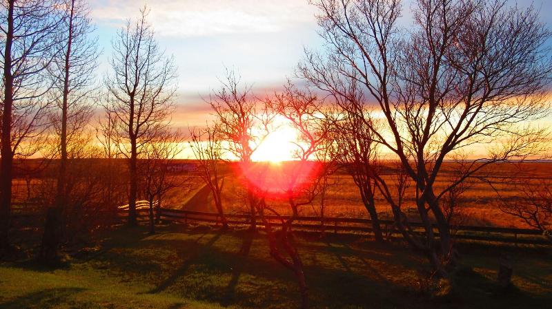 تختخواب و صبحانه Guesthouse Kalfafellsstadur