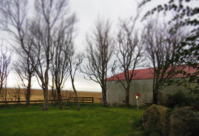 تختخواب و صبحانه Guesthouse Kalfafellsstadur