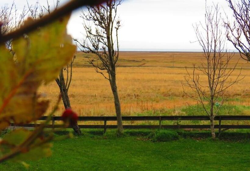 تختخواب و صبحانه Guesthouse Kalfafellsstadur