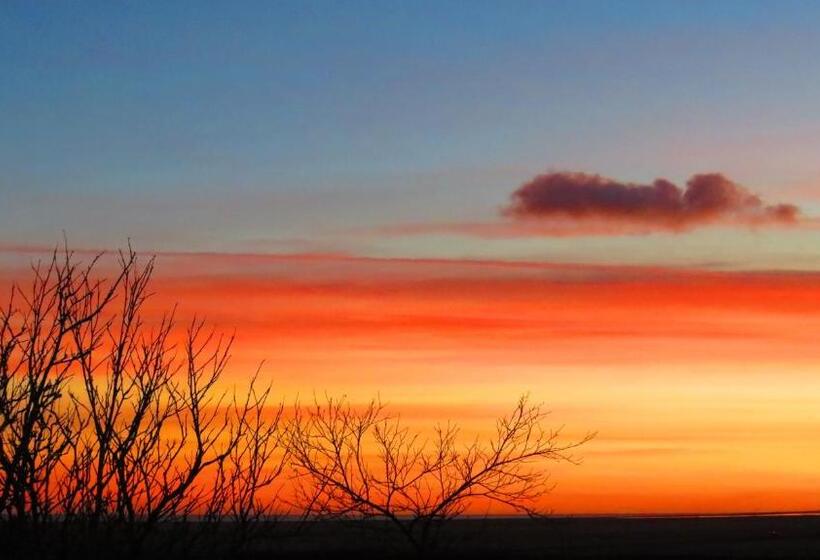 تختخواب و صبحانه Guesthouse Kalfafellsstadur