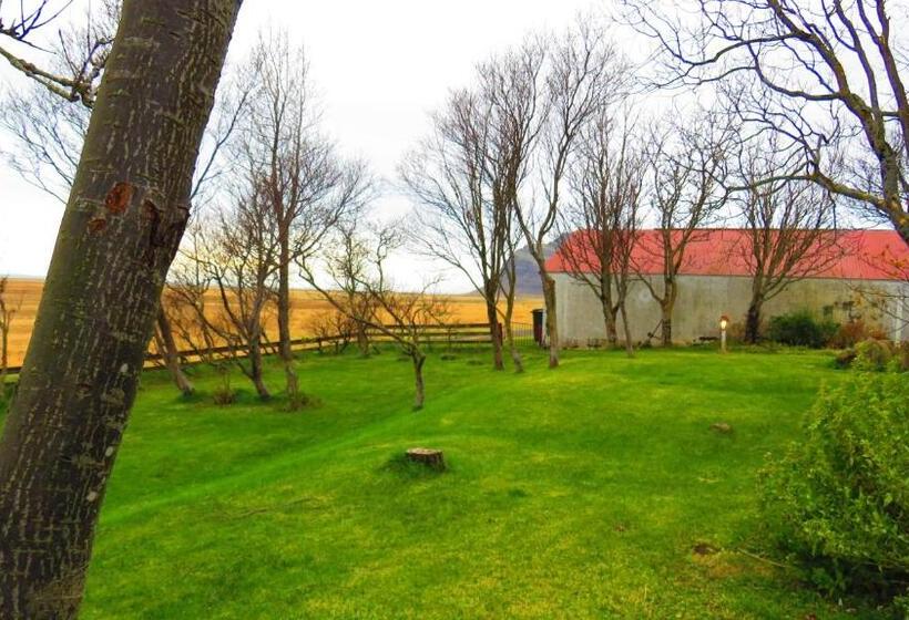 تختخواب و صبحانه Guesthouse Kalfafellsstadur