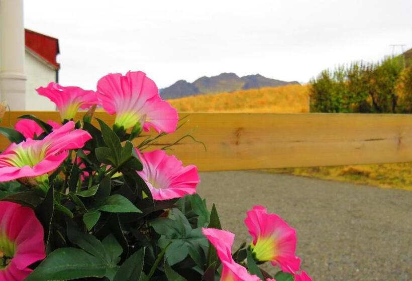 تختخواب و صبحانه Guesthouse Kalfafellsstadur