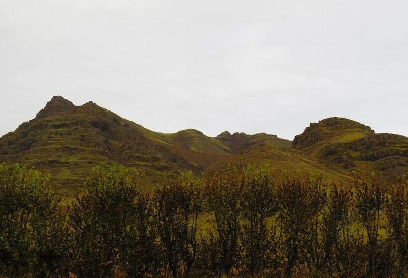 تختخواب و صبحانه Guesthouse Kalfafellsstadur