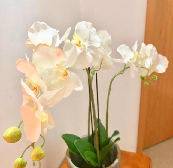 تختخواب و صبحانه Laurels