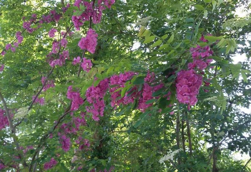 צימר Manoir Des Turets