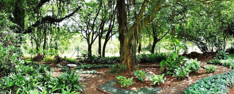 مبيت وإفطار Mount Azimbo Lodge