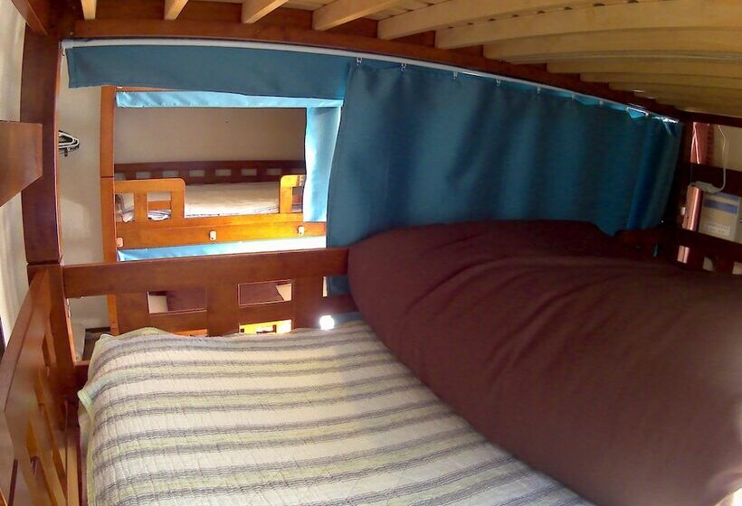 Guest House In Amami Ryoufuu   Hostel