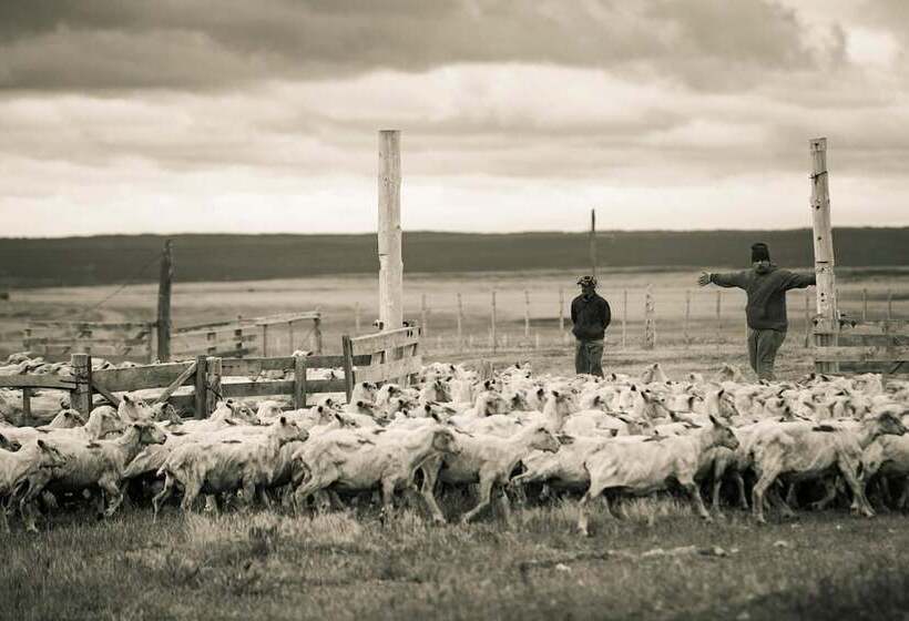 פונדק Estancia Caleta Josefina