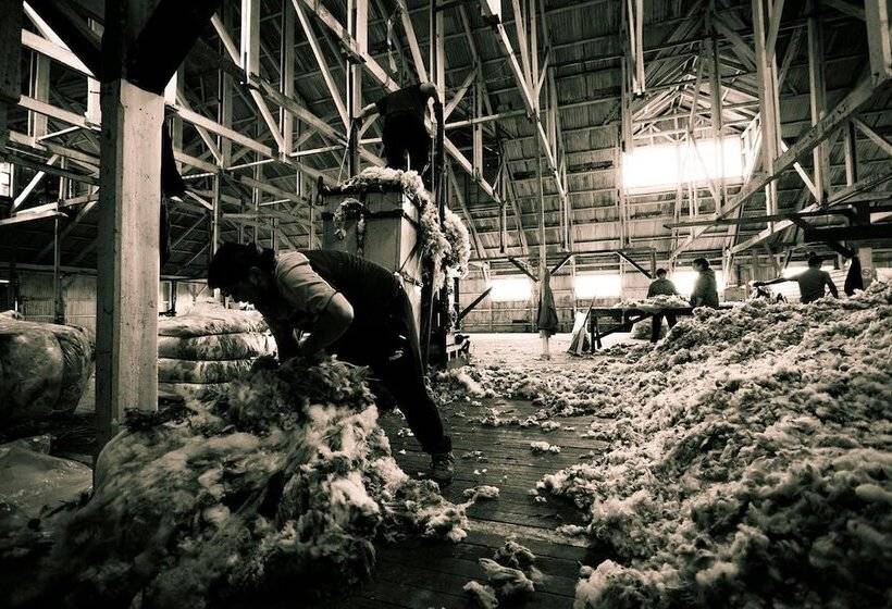 פונדק Estancia Caleta Josefina