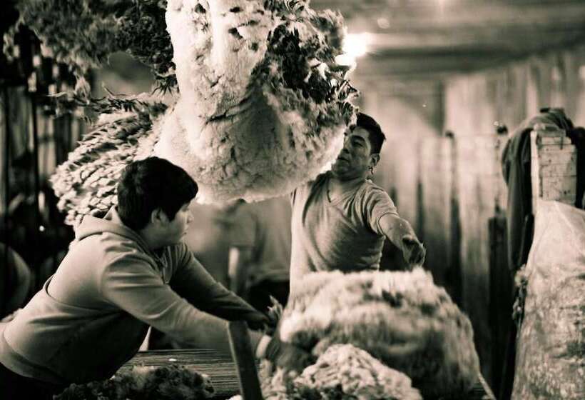 פונדק Estancia Caleta Josefina