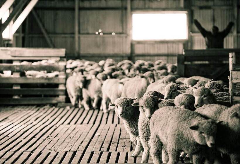 פונדק Estancia Caleta Josefina