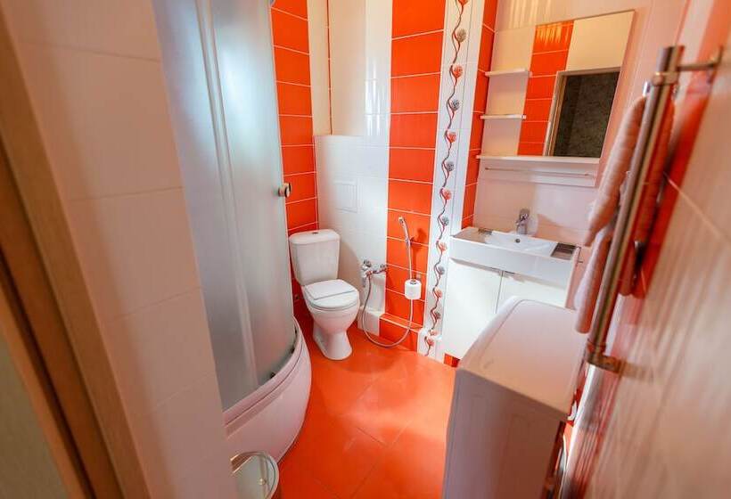 هتل Amosov S House