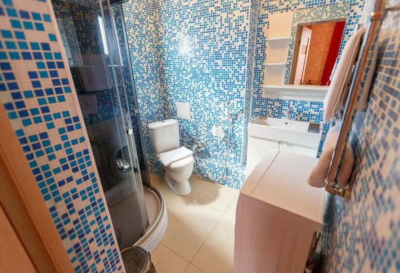 هتل Amosov S House