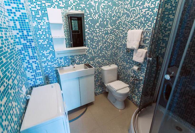 هتل Amosov S House