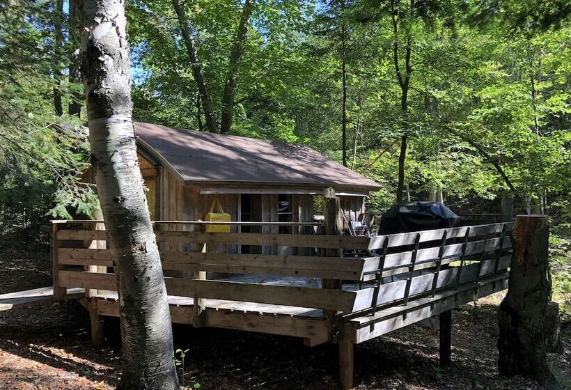 ホテル Chimo Refuges Treehouse Resort